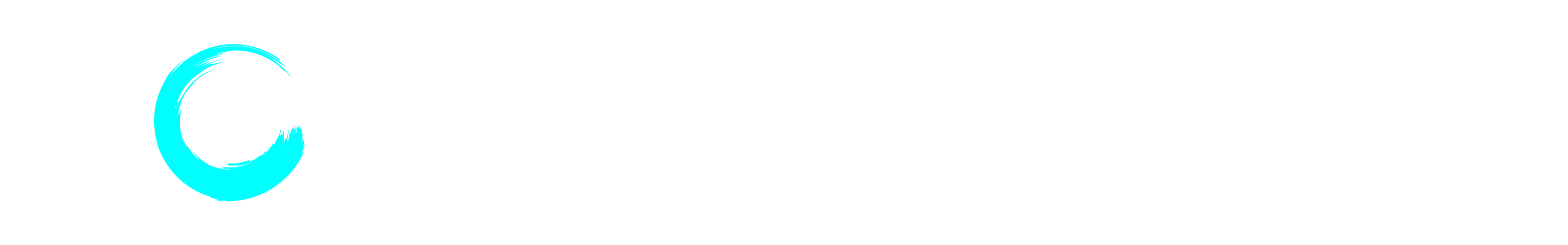 Softacular Logo